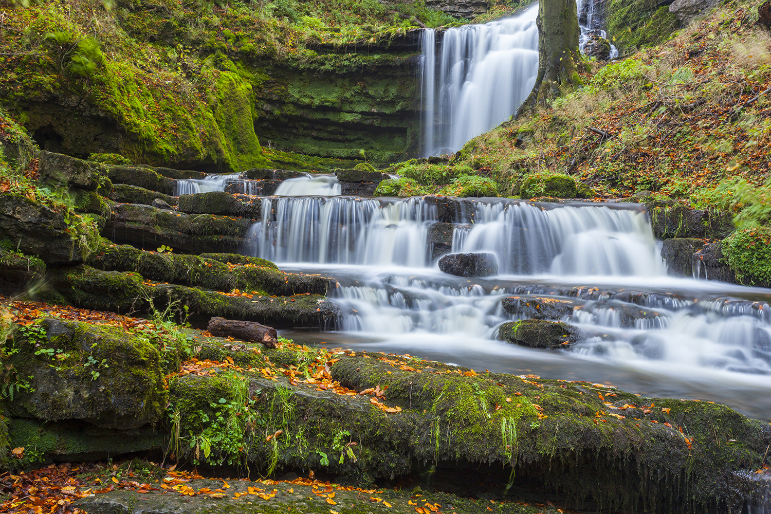 Cascades Scalebar Force Waterfall, a Yorkshire Landscape Print Yorkshire Landscapes colour