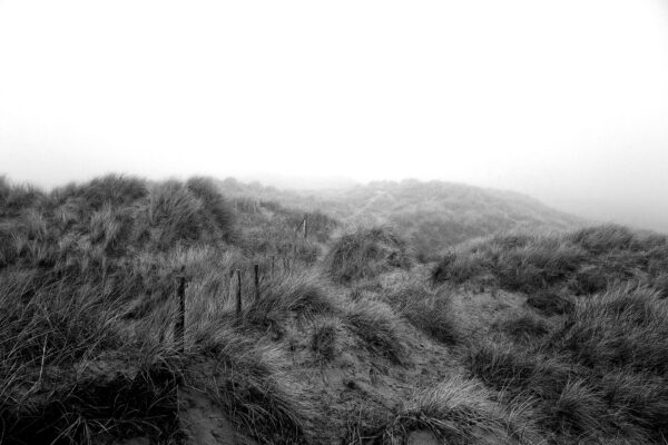 Formby Sand Dunes in Mist Coastal Landscapes Black and White 2