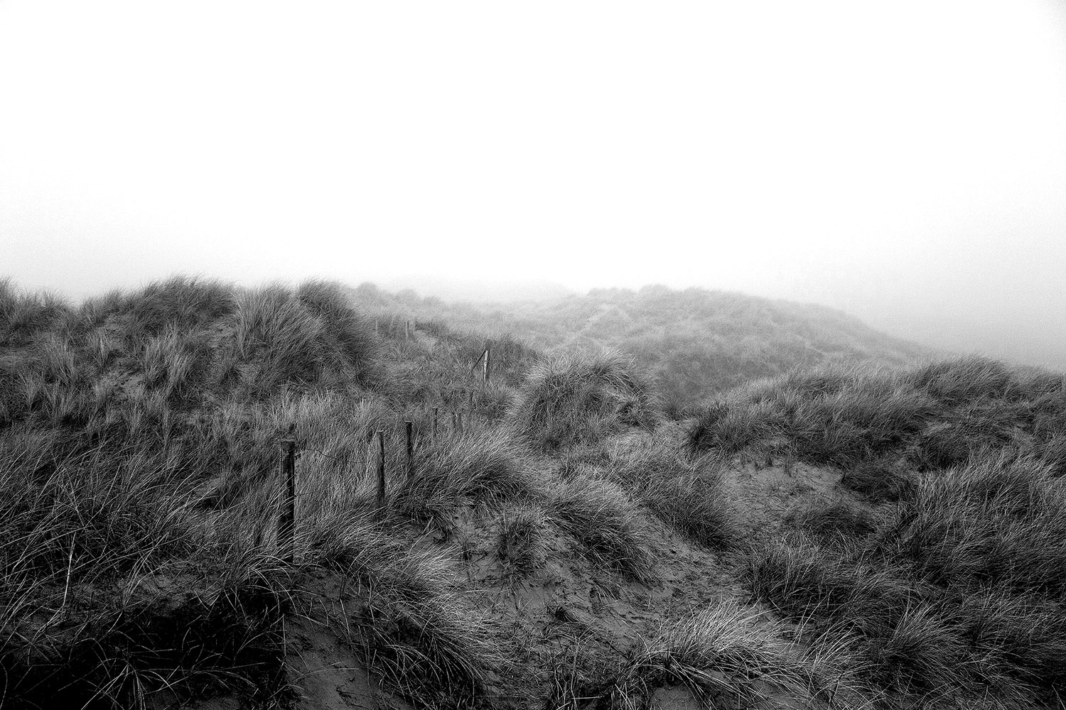 Formby Sand Dunes in Mist Coastal Landscapes Black and White