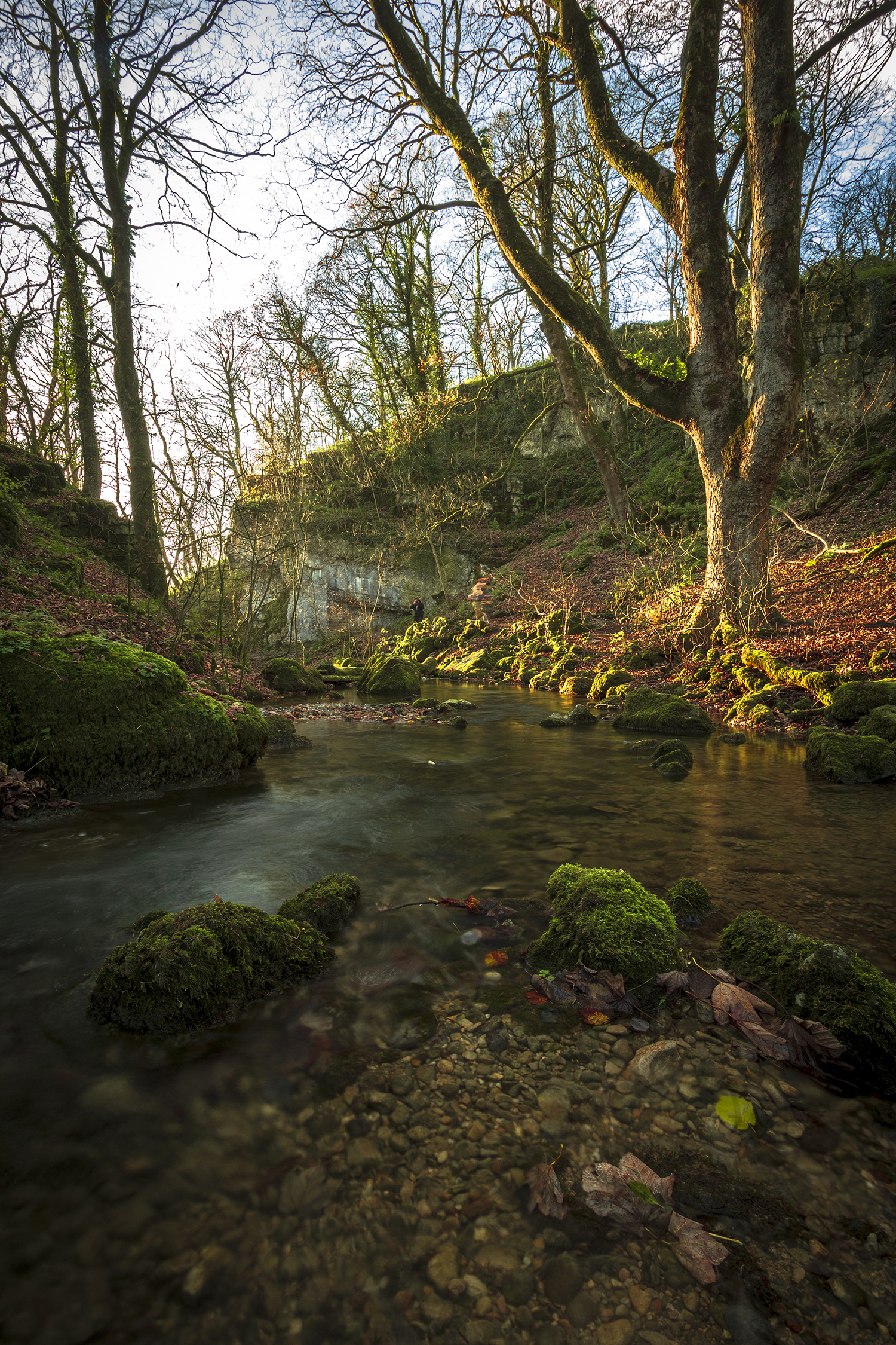 Autumn, Gordale Beck Yorkshire Yorkshire Landscapes Autumn