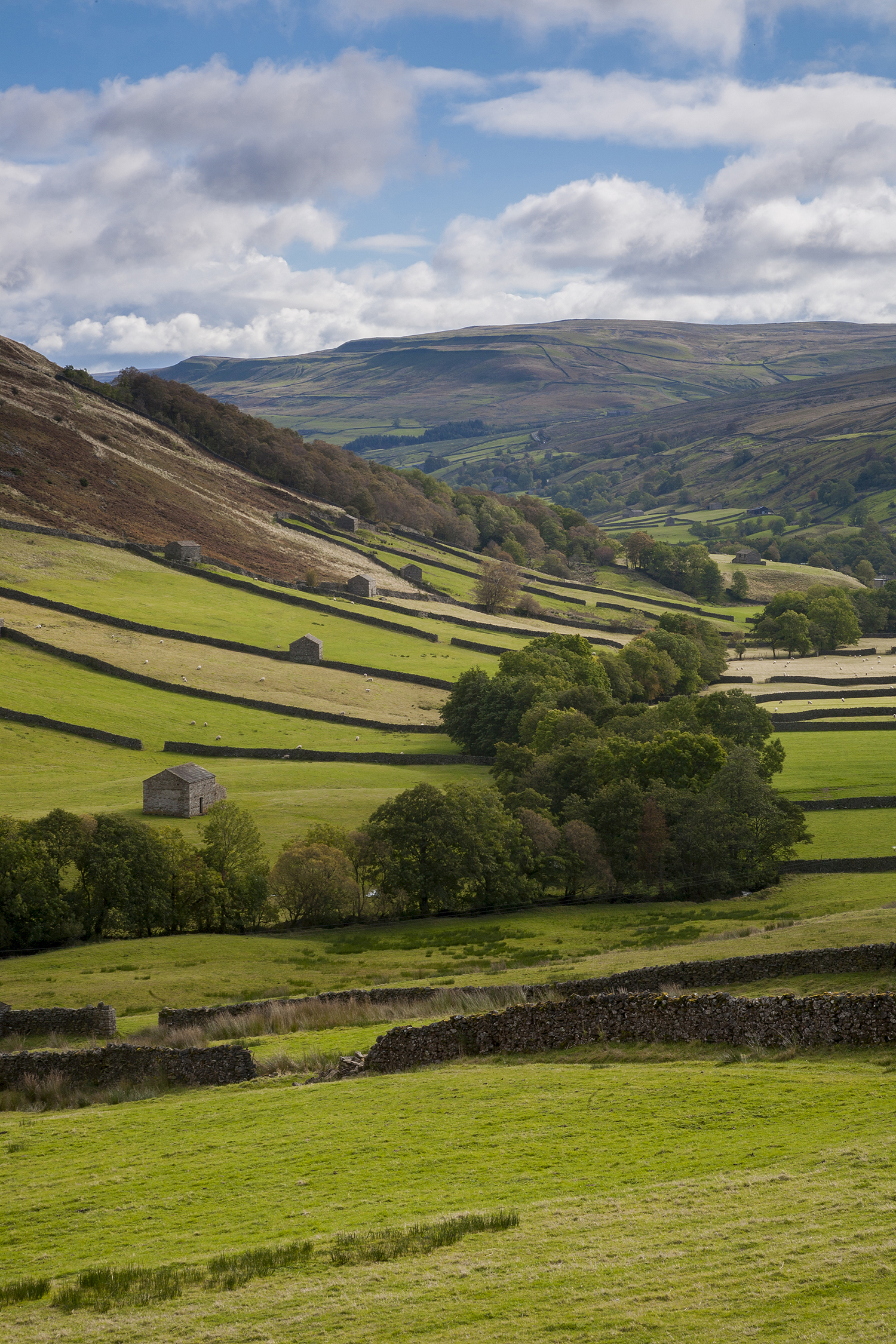 Swaledale Barns, Yorkshire landscape photograph Yorkshire Landscapes Autumn