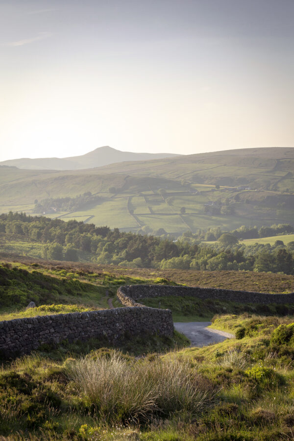 Winding Lane Near Shutlingsloe, Peak District Peak District Landscapes colour 2