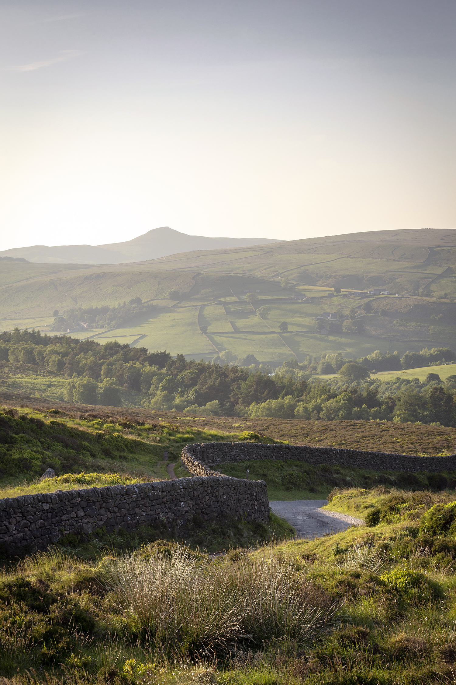 Winding Lane Near Shutlingsloe, Peak District Peak District Landscapes colour