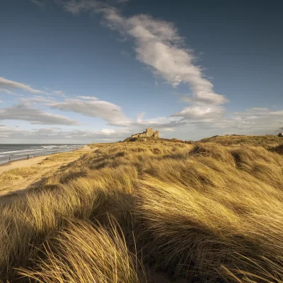 Bamburgh Castle Sand Dunes Portrait Coastal Landscapes Bamburgh