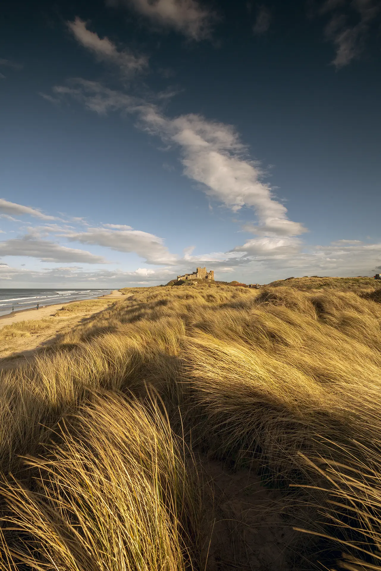 Bamburgh Castle Sand Dunes Portrait Coastal Landscapes Bamburgh