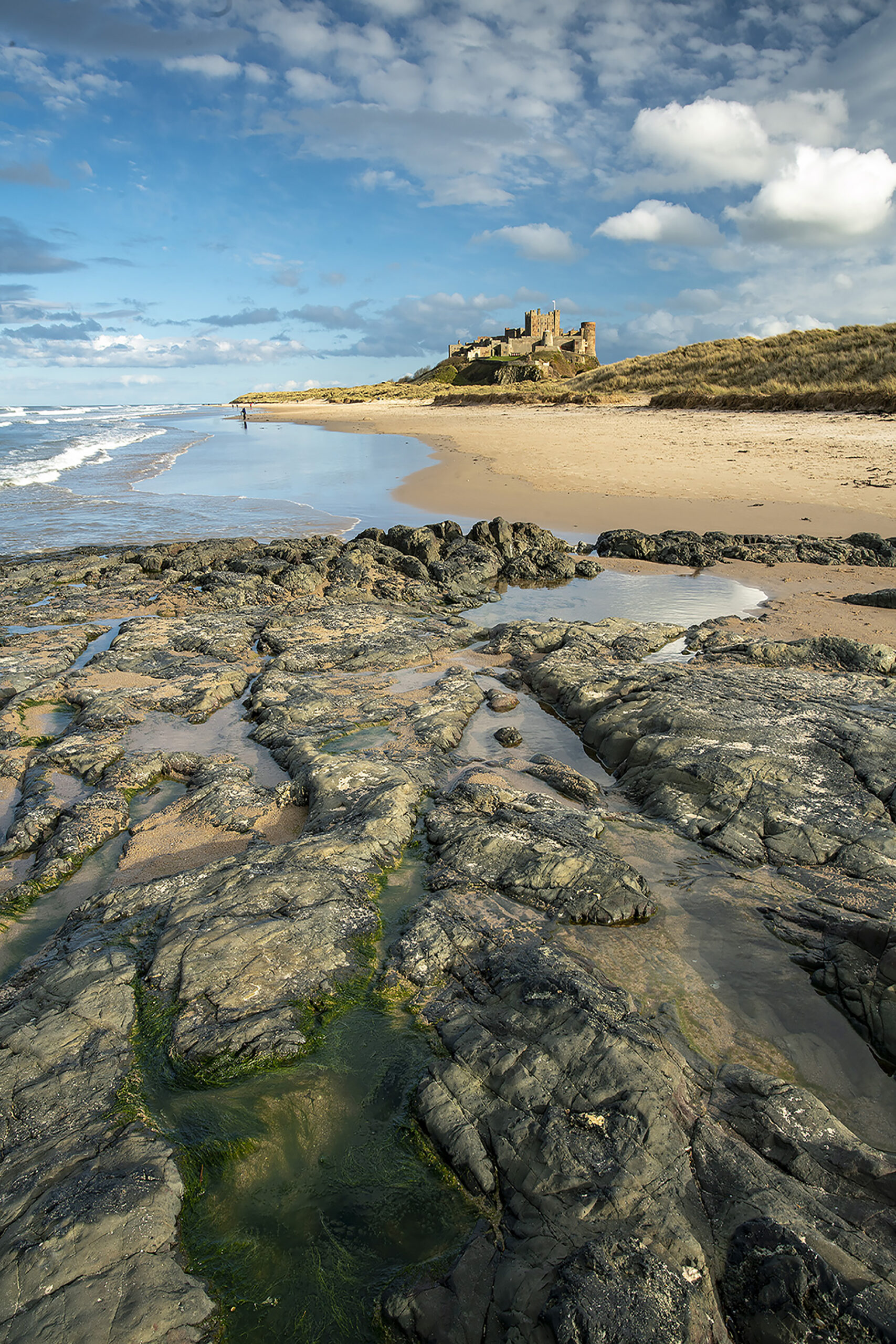 Bamburgh Castle Portrait Coastal Landscapes Bamburgh