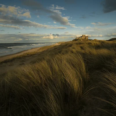 Bamburgh Castle Sand Dunes Landscape Coastal Landscapes Bamburgh