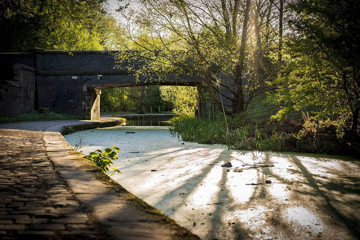 Bury Bolton Canal Landscapes Photography Bolton