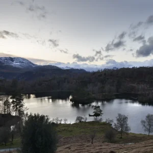 Tarn Hows View Limited Edition Print Limited Edition