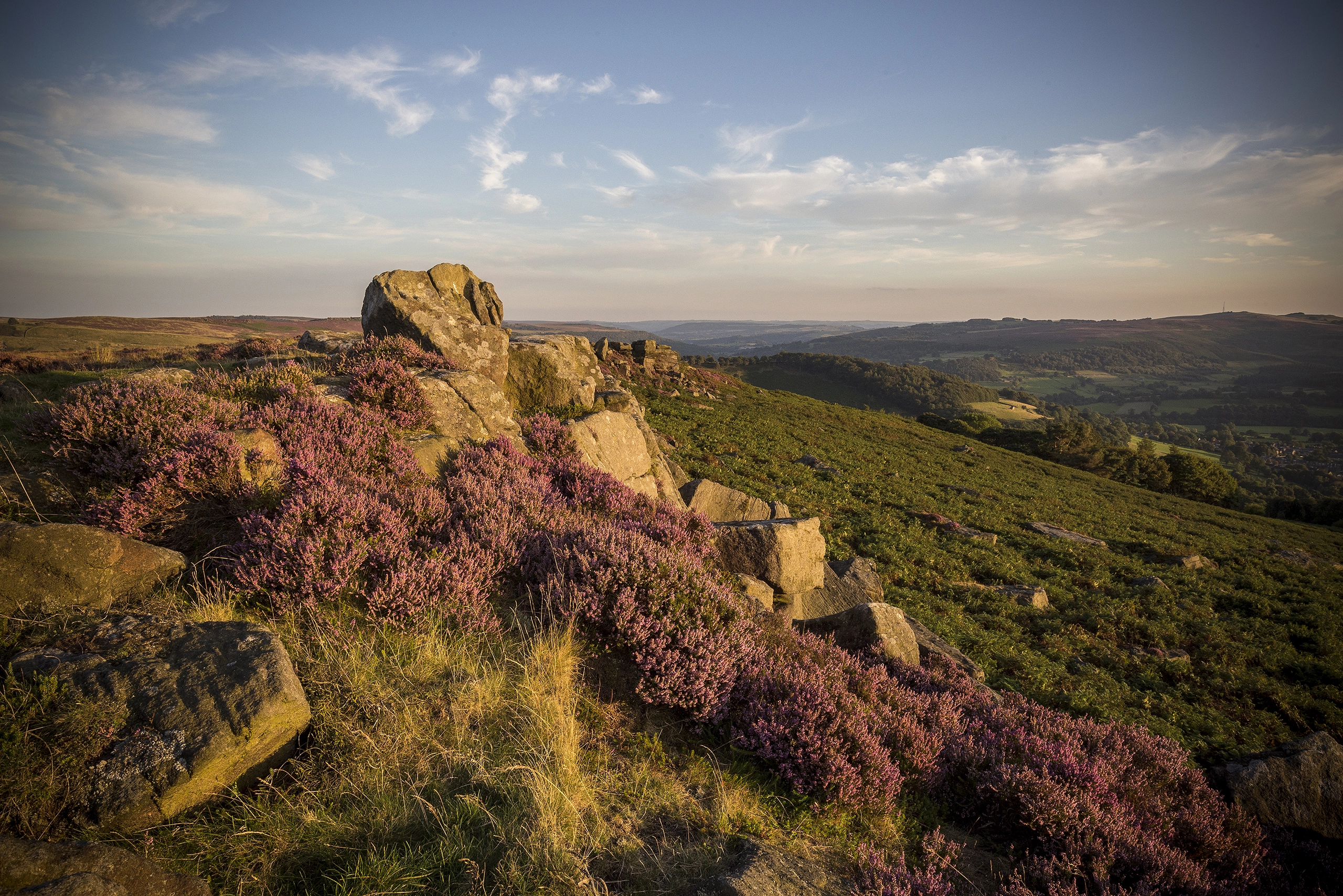 Carhead Rocks Heather ‘Golden Hour’ Peak District Landscapes Colour Canvas