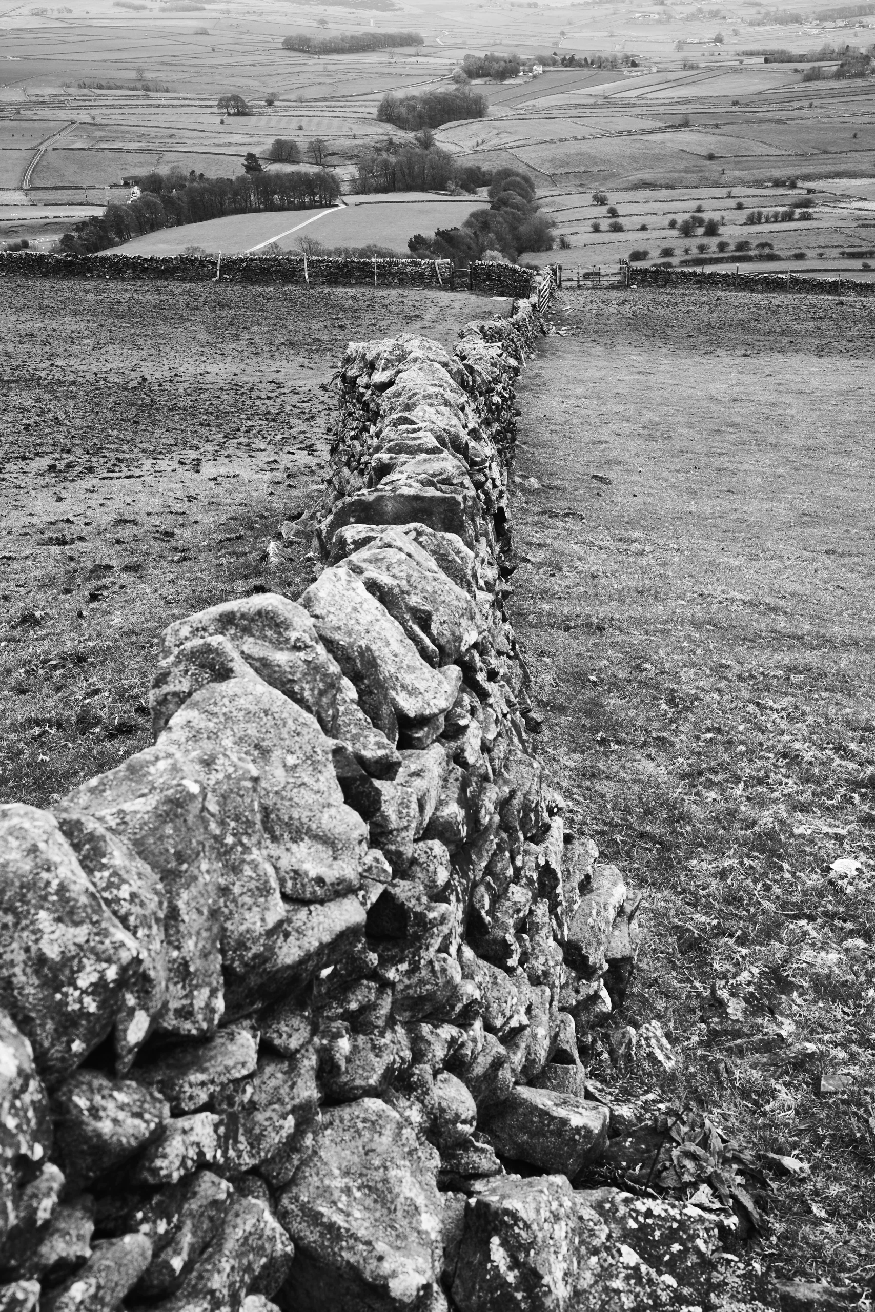 Drystone Wall, Peak District Black and White Photograph Peak District Landscapes Black and white print