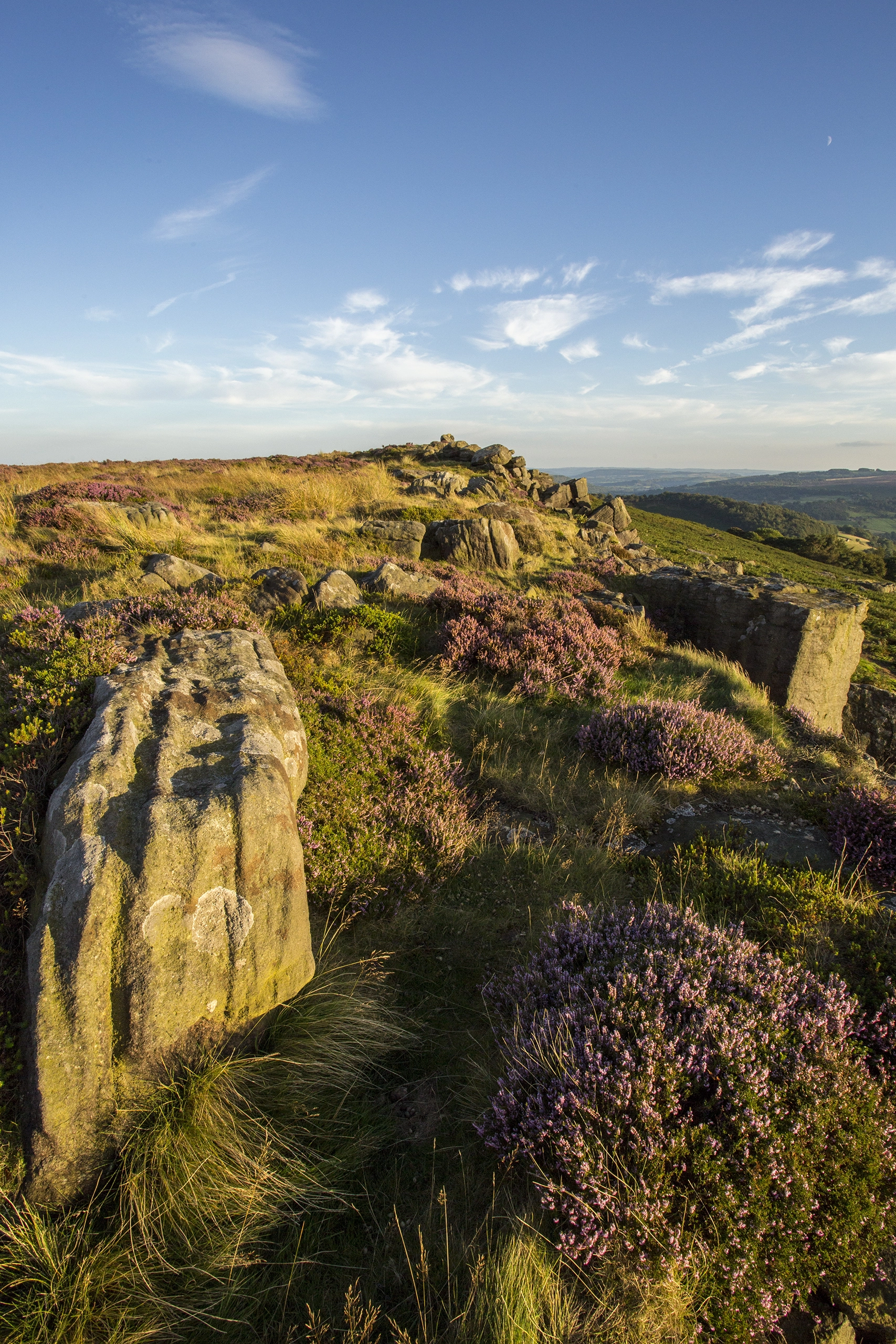 Heather in the Peak District – Portrait Print Peak District Landscapes Colour Canvas