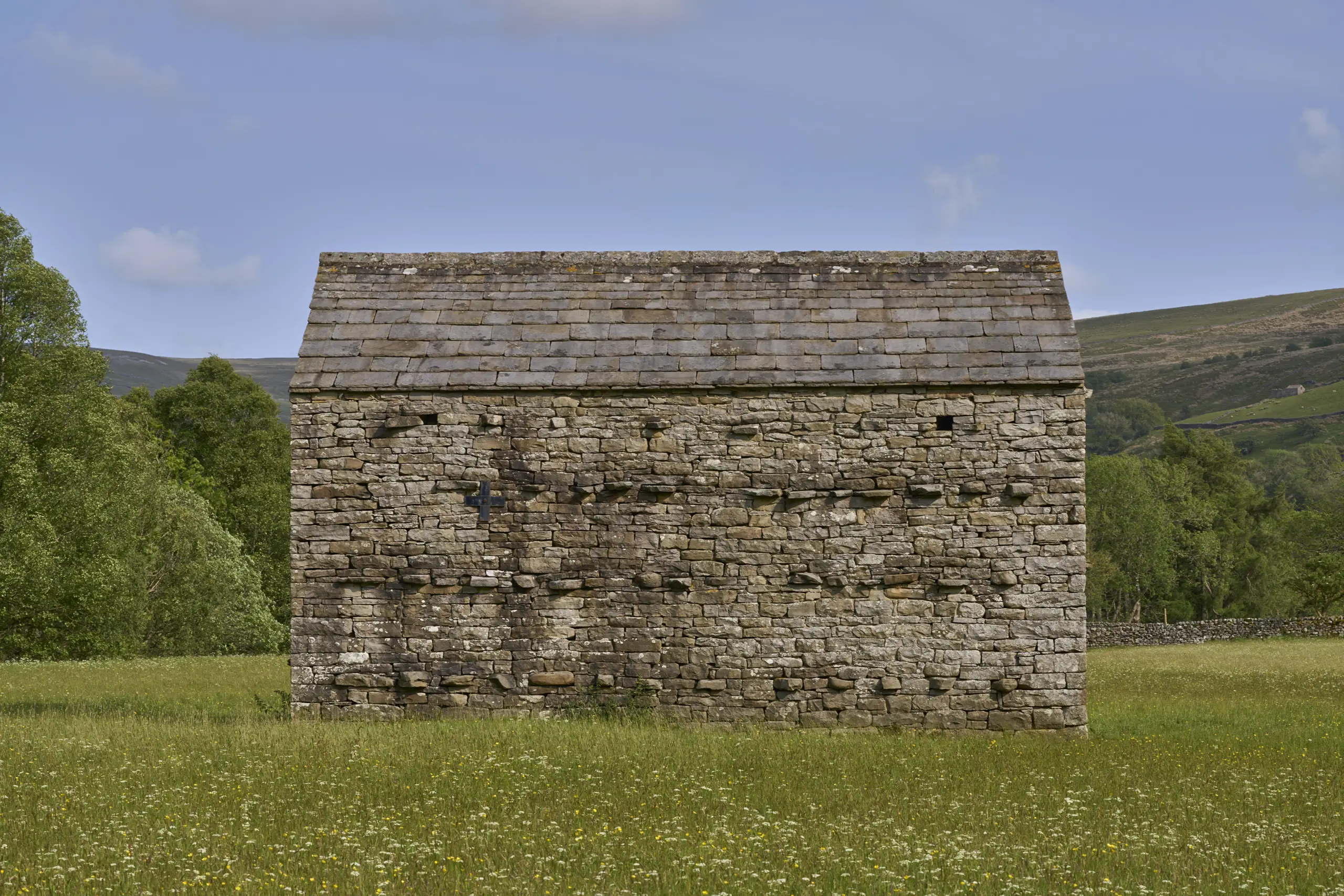 Barn in Summer Meadow