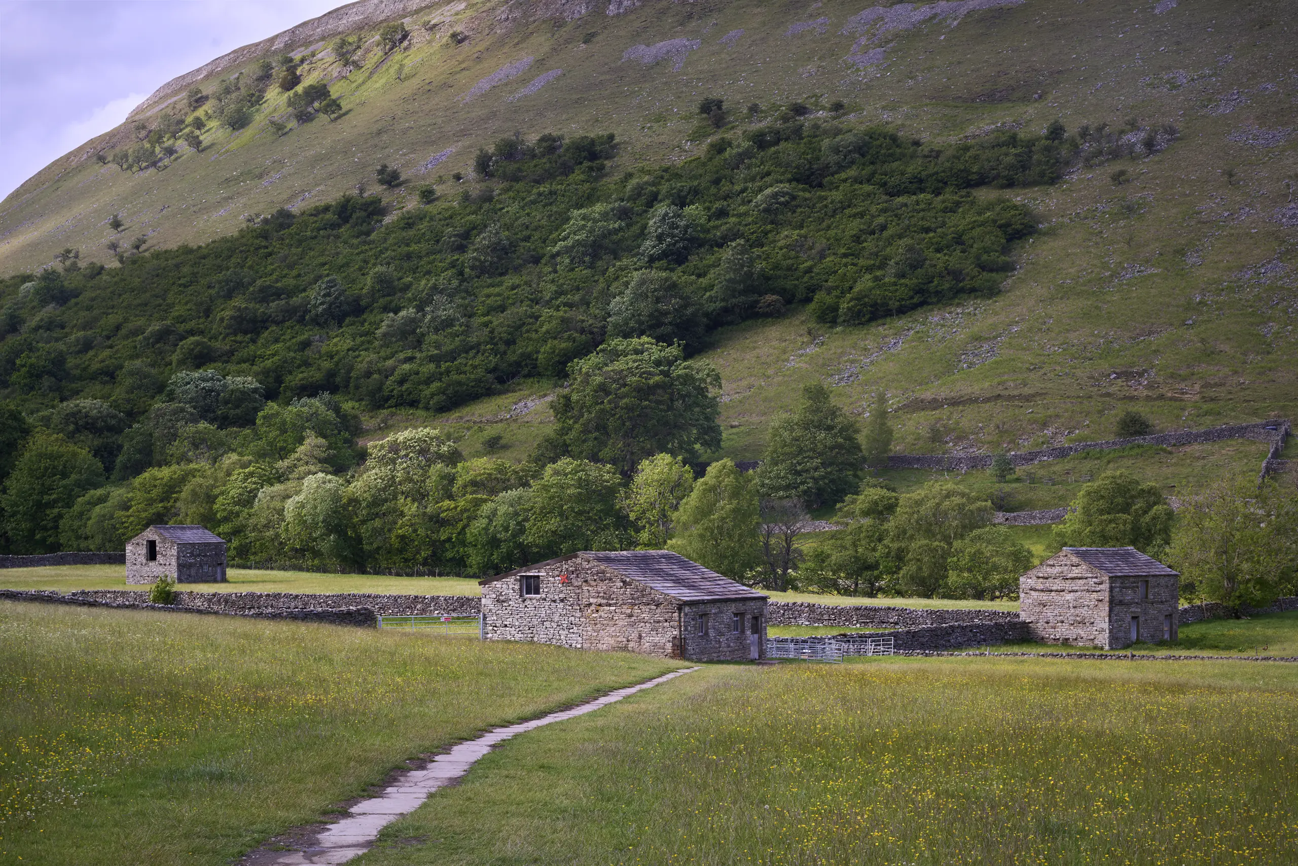 Three Swaledale stone barns linked by a stone path, set within Muker Meadows and framed by valley hills, Yorkshire Dales.