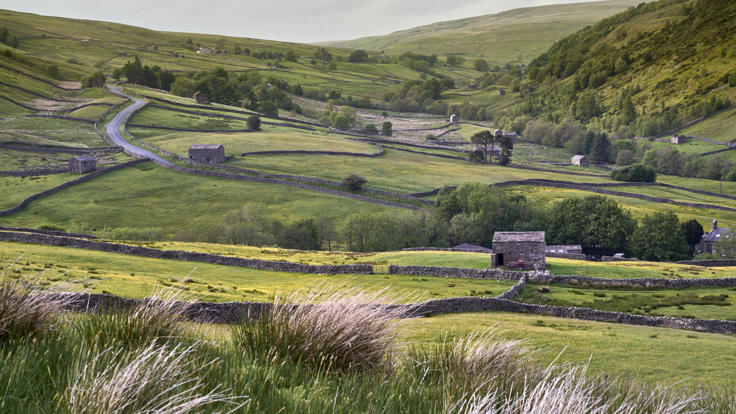 View from Cliff Gate Road, Swaledale