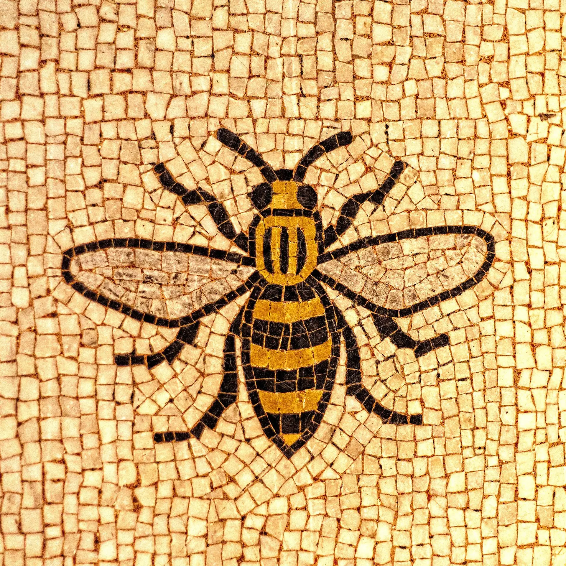 Manchester Bee