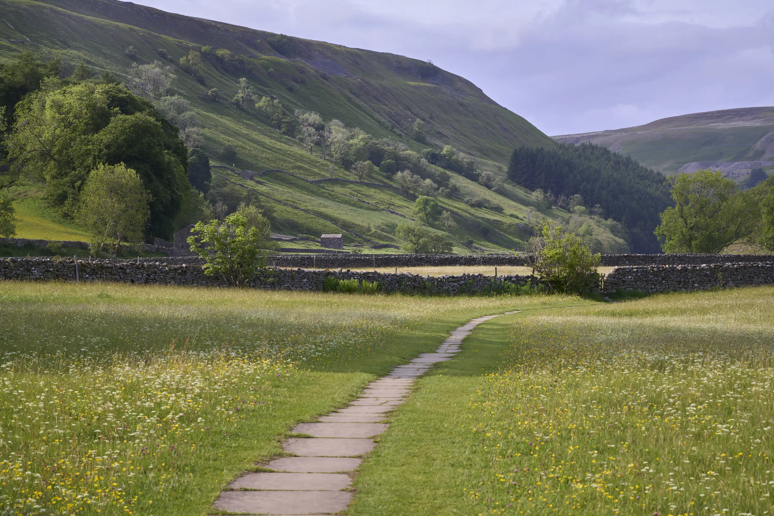 Path Through Muker Meadows