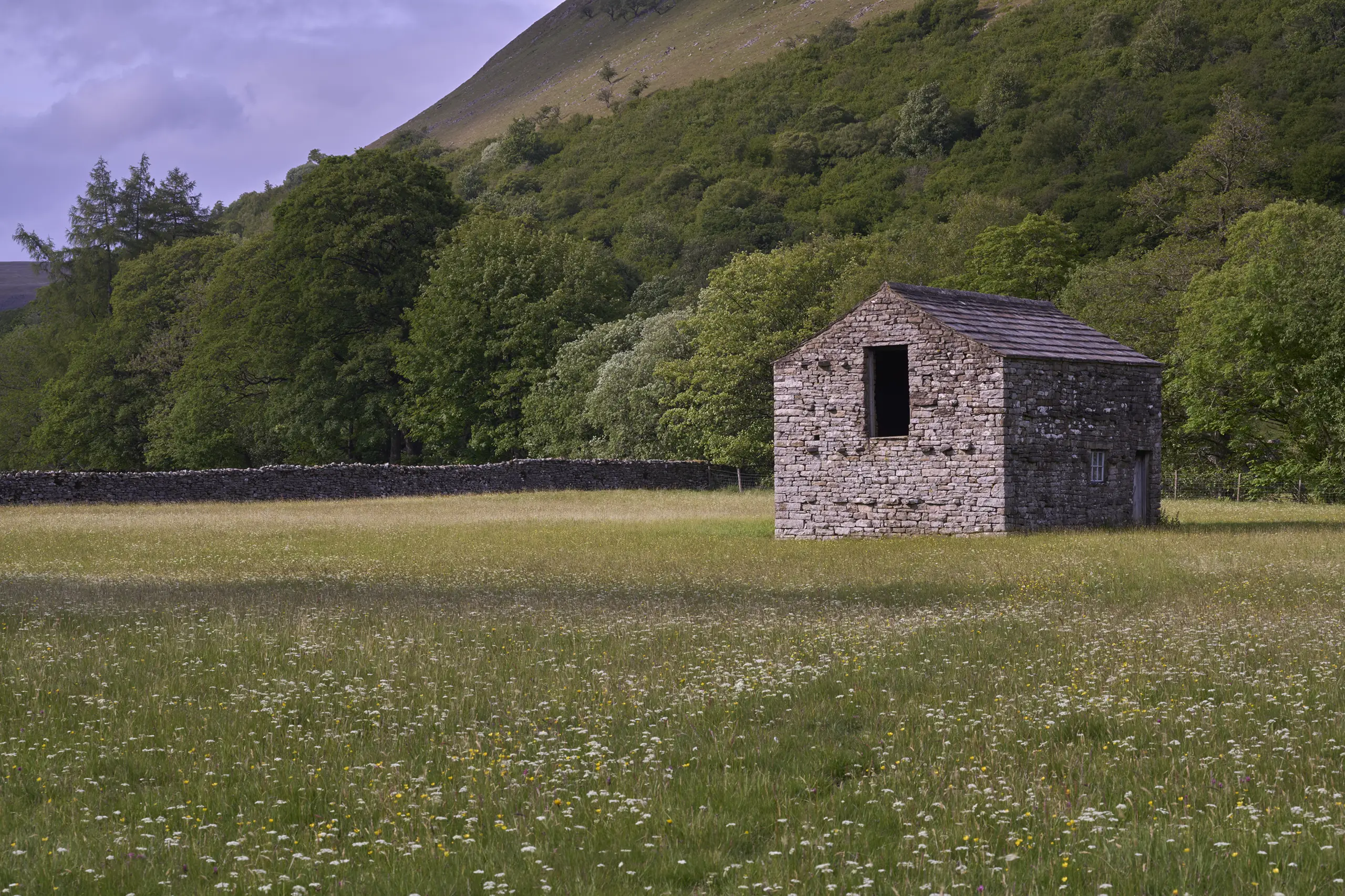 Stone Barn Among Wildflowers