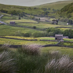 View to Thwaite, Swaledale Limited Edition
