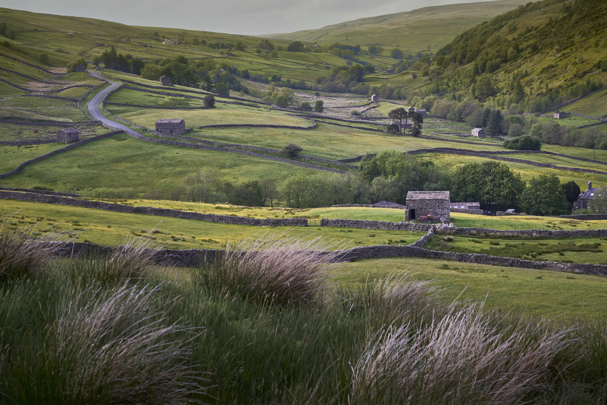 View across Swaledale towards Thwaite, showing dry-stone walls, stone barns, and rolling fields in the Yorkshire Dales, fine art print by Paul Grogan.